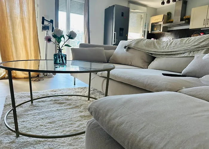 Logement Terrasse Chute La Vie